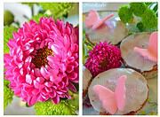 {Rezept} Leckere Schmetterling - Glitzer - Muffins