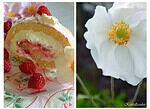 Die beste Himbeerroulade auf der ganzen Welt