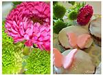 {Rezept} Leckere Schmetterling – Glitzer – Muffins