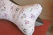 Leseknochen