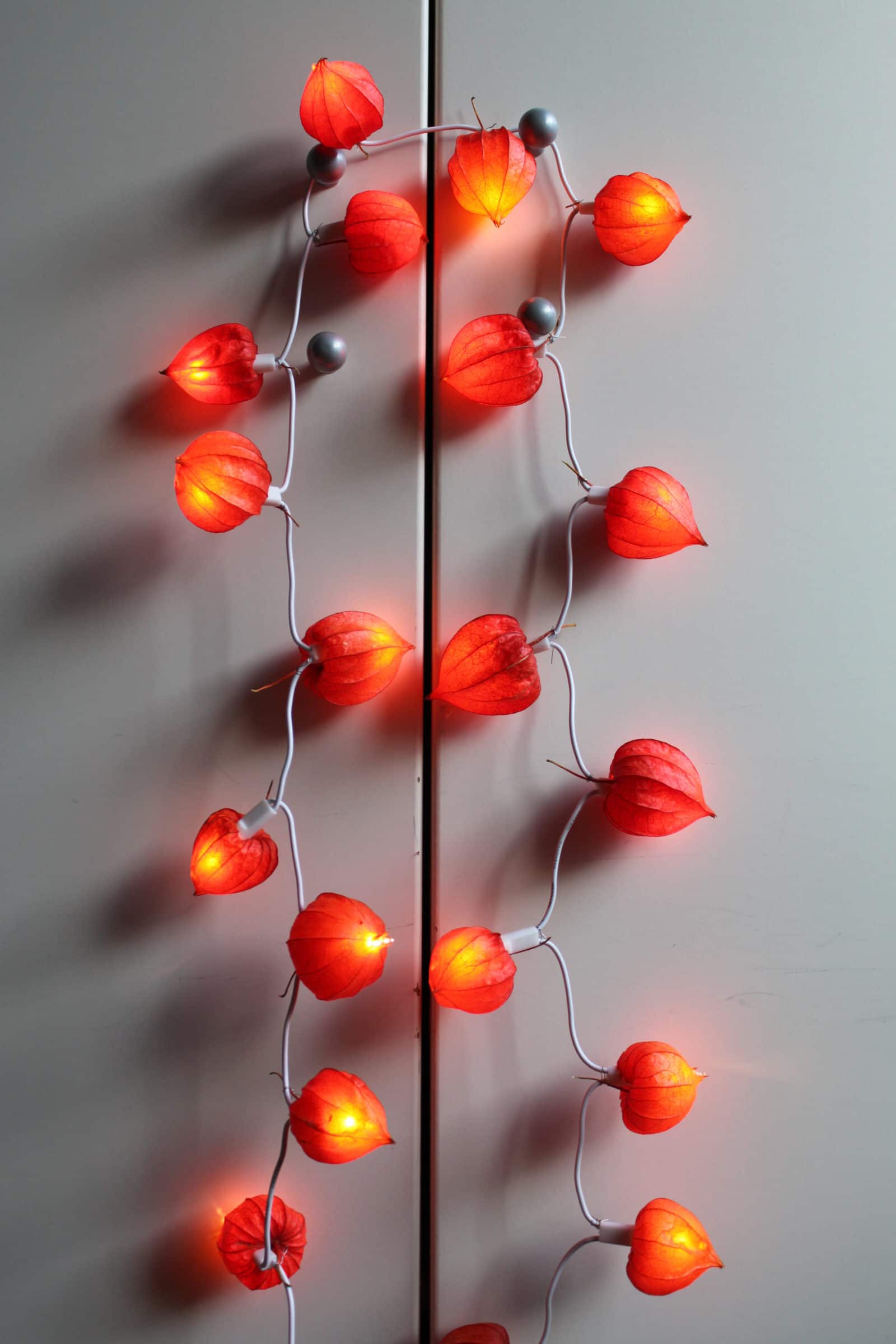 Weiberkombinat: LampionLichterKette