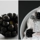 Spätsommer Sweet Treat: Blackberry Marshmallows