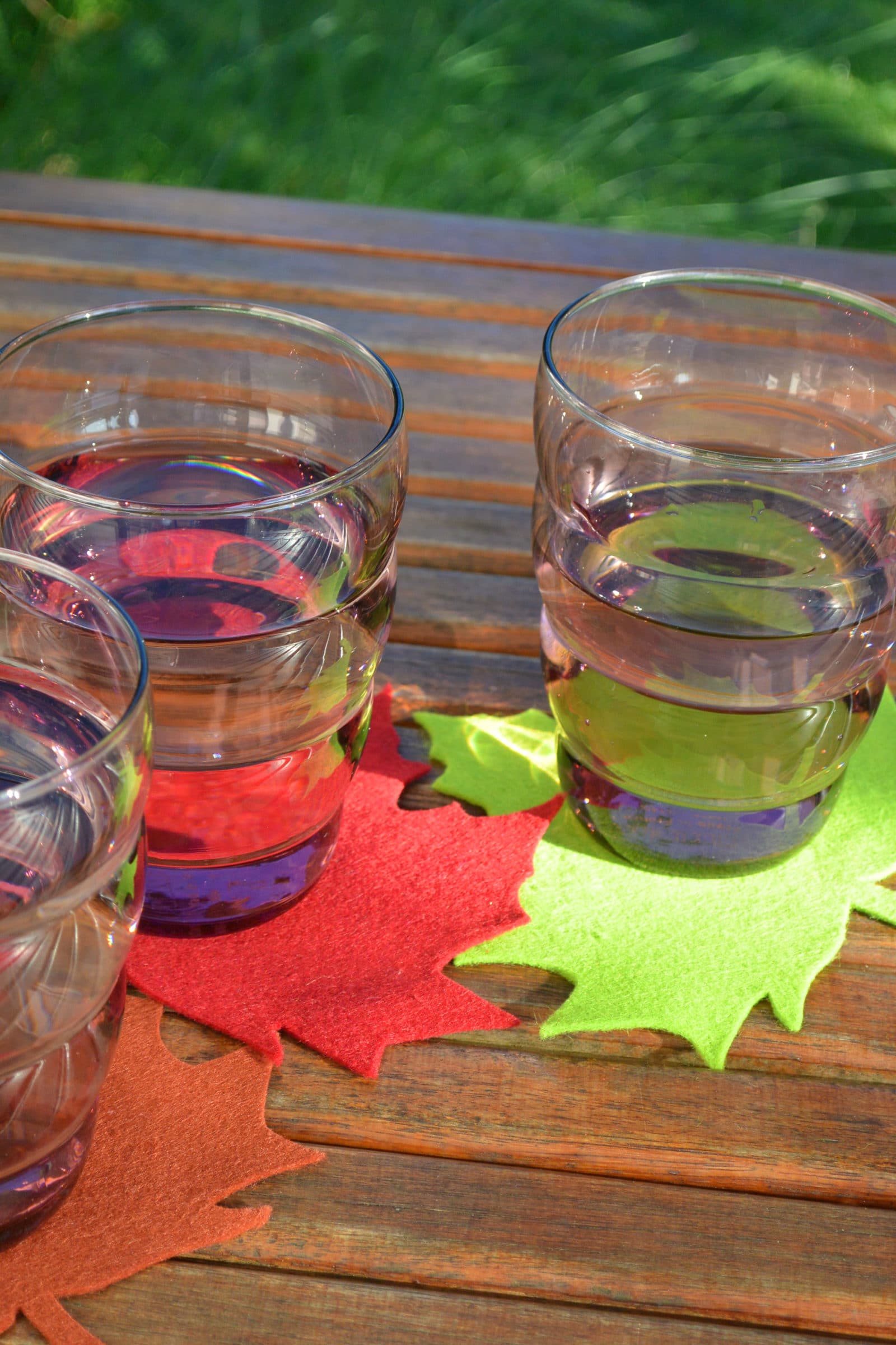 Herbstliche Blätter Untersetzer