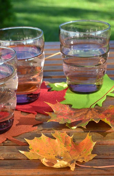 Herbstliche Blätter Untersetzer