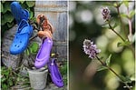 Gartenschuhe hübsch aufgeräumt