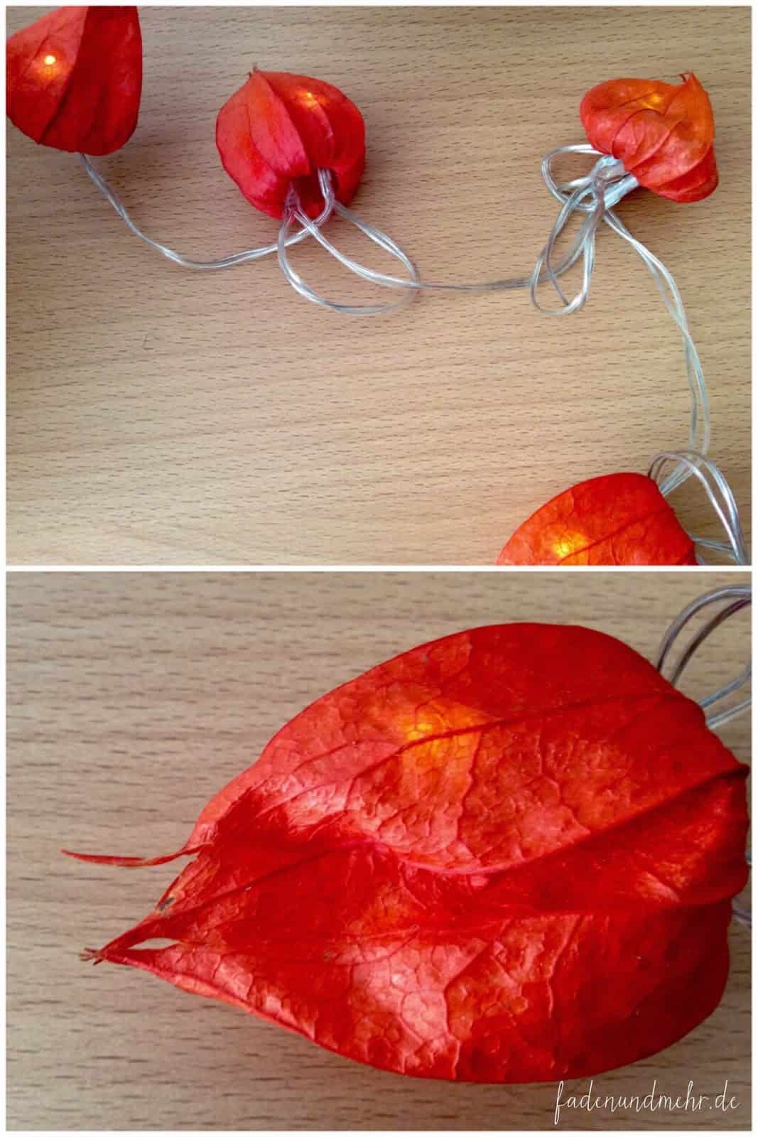 Willkommen Herbst!