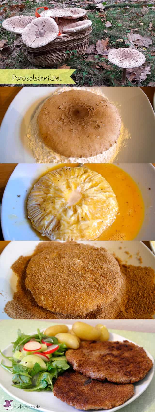 Schnitzel von Riesenschirmpilz