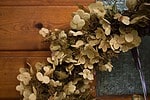 Herbstkranz aus Hortensienblütendolden