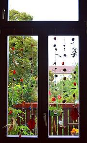Fensterketten aus Naturschätzen