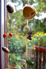 Fensterketten aus Naturschätzen