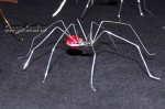 DIY – Schnelle Draht-Perlen-Spinne basteln