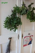 DIY Kräuterbrett