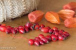 Farbenfroher Herbstkranz