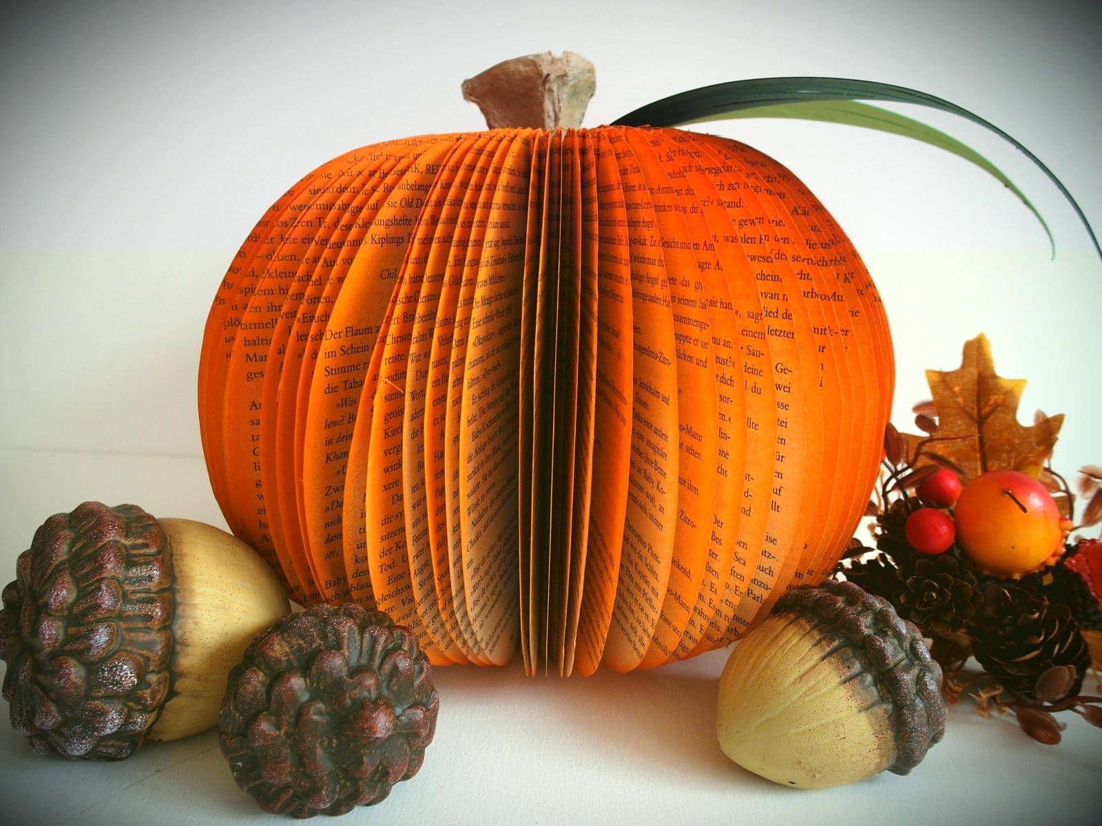 Halloween – und Kürbis Party