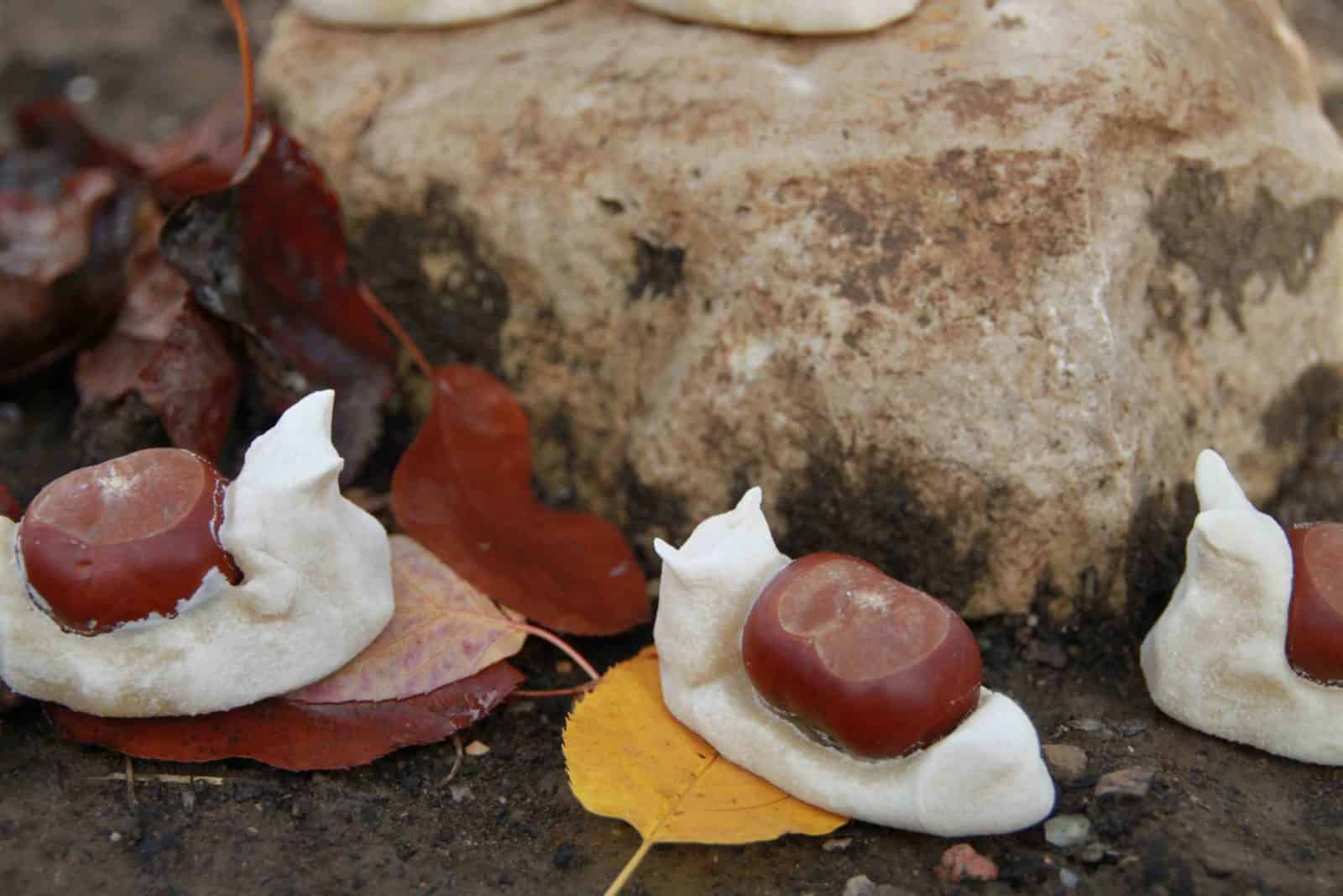 Kastanienschnecken