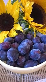 Mürbeteig mit Zwetschgen