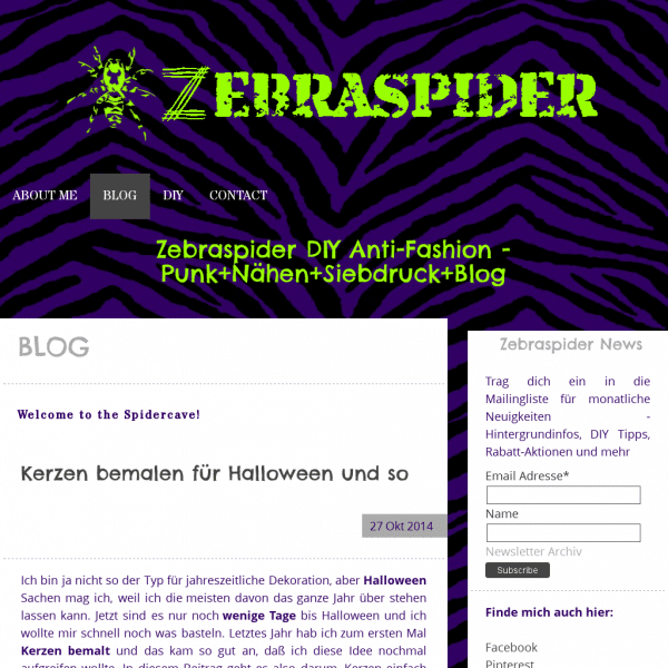 Zebraspider DIY Anti-Fashion - Blog