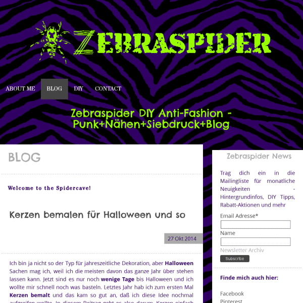 Zebraspider DIY Anti-Fashion – Blog