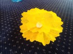 Seidenpapierblumen