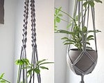 DIY Macrame Blumenampel mit Betontopf