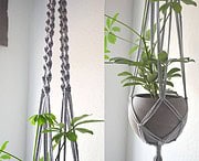 DIY Macrame Blumenampel mit Betontopf