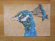 Der gepunktete Pfau