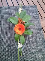Blumenretter