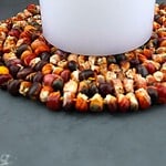 Indian Corn