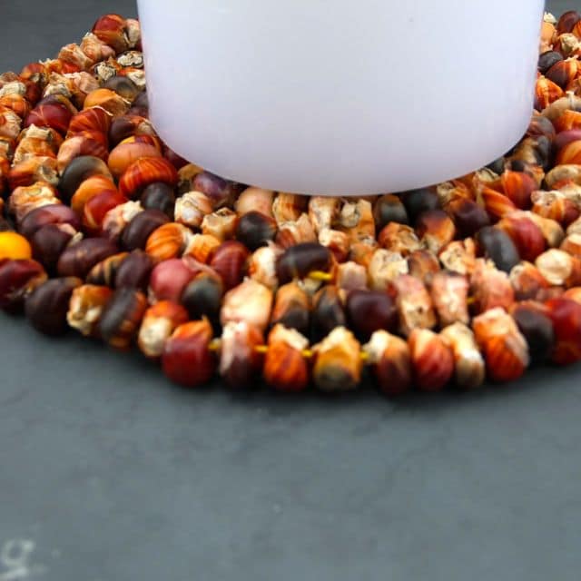 Indian Corn