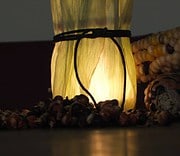 Indian Corn