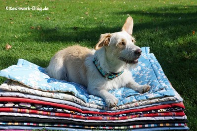 DIY Hundedecken
