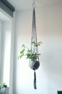 DIY Macrame Blumenampel mit Betontopf