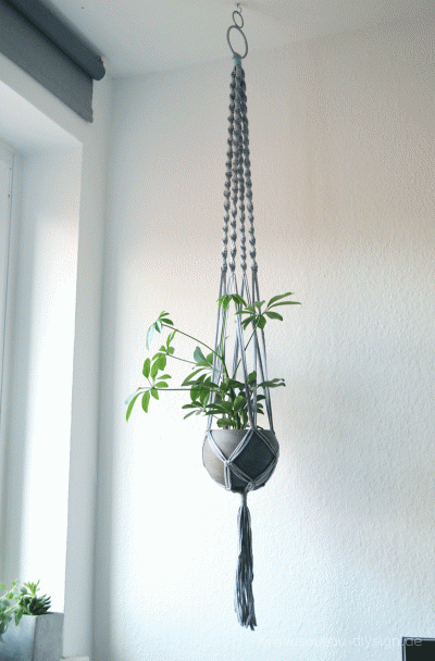 DIY Macrame Blumenampel mit Betontopf