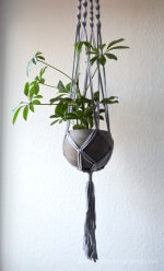 DIY Macrame Blumenampel mit Betontopf