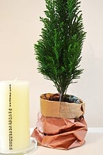 Weihnachtsgedeck mit Countdown-Kerze
