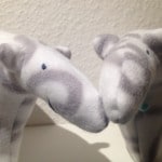 Wie der Eisbär zum Nasenbär wird…