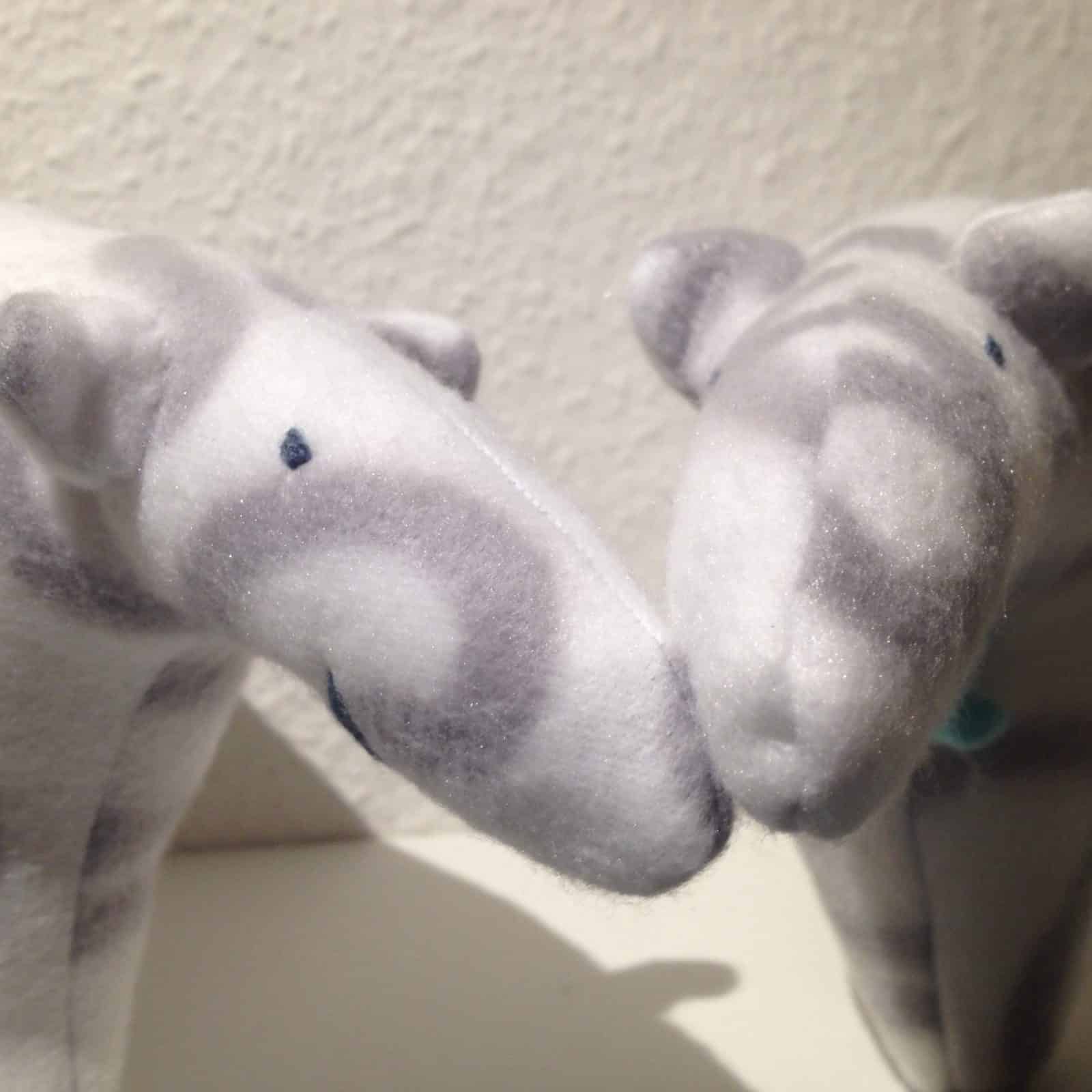 Wie der Eisbär zum Nasenbär wird…