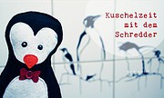 Niedlicher Hausgast – Ein kleiner Pinguin