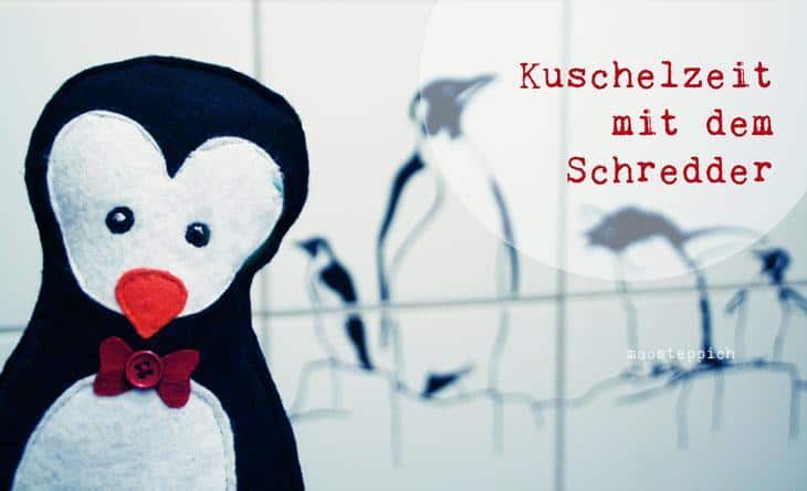Niedlicher Hausgast – Ein kleiner Pinguin