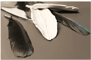 Modelliert und gefedert