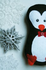 Niedlicher Hausgast – Ein kleiner Pinguin
