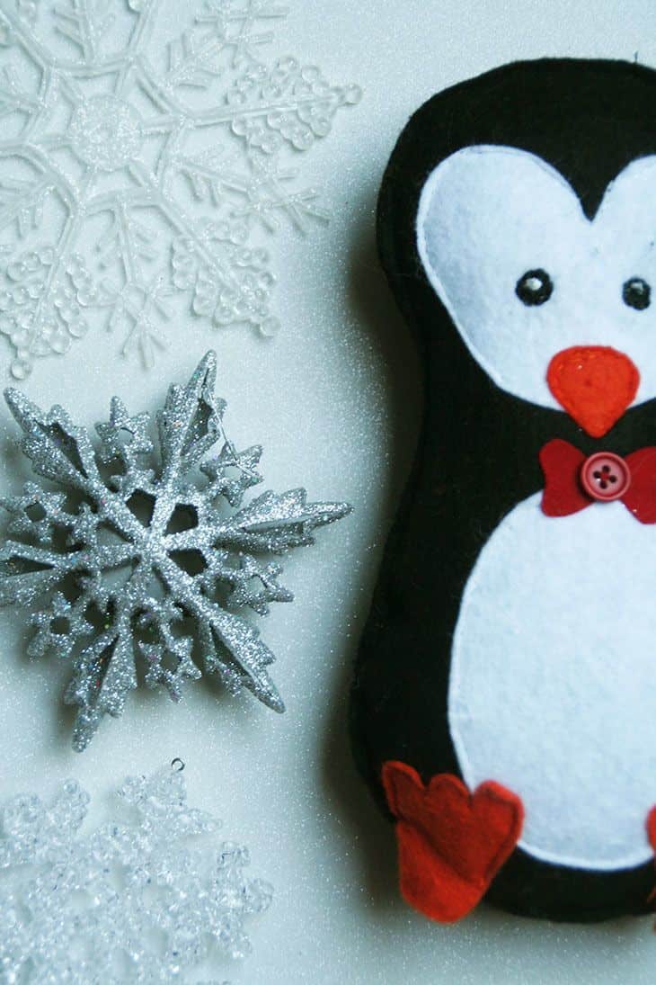 Niedlicher Hausgast – Ein kleiner Pinguin