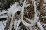 Märchenstunde… Väterchen Frost vereist unseren Schmuck