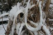 Märchenstunde… Väterchen Frost vereist unseren Schmuck