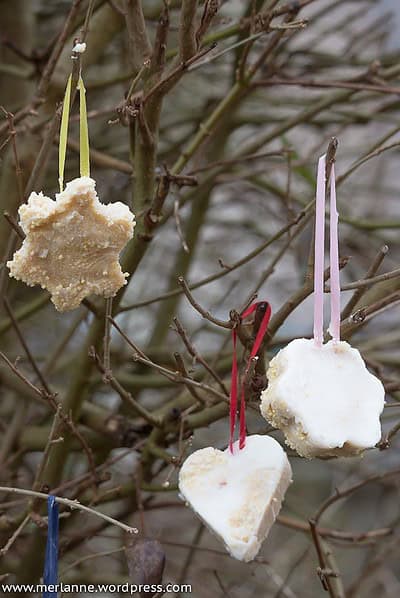 Vogelfutter selber machen