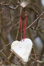 Vogelfutter selber machen