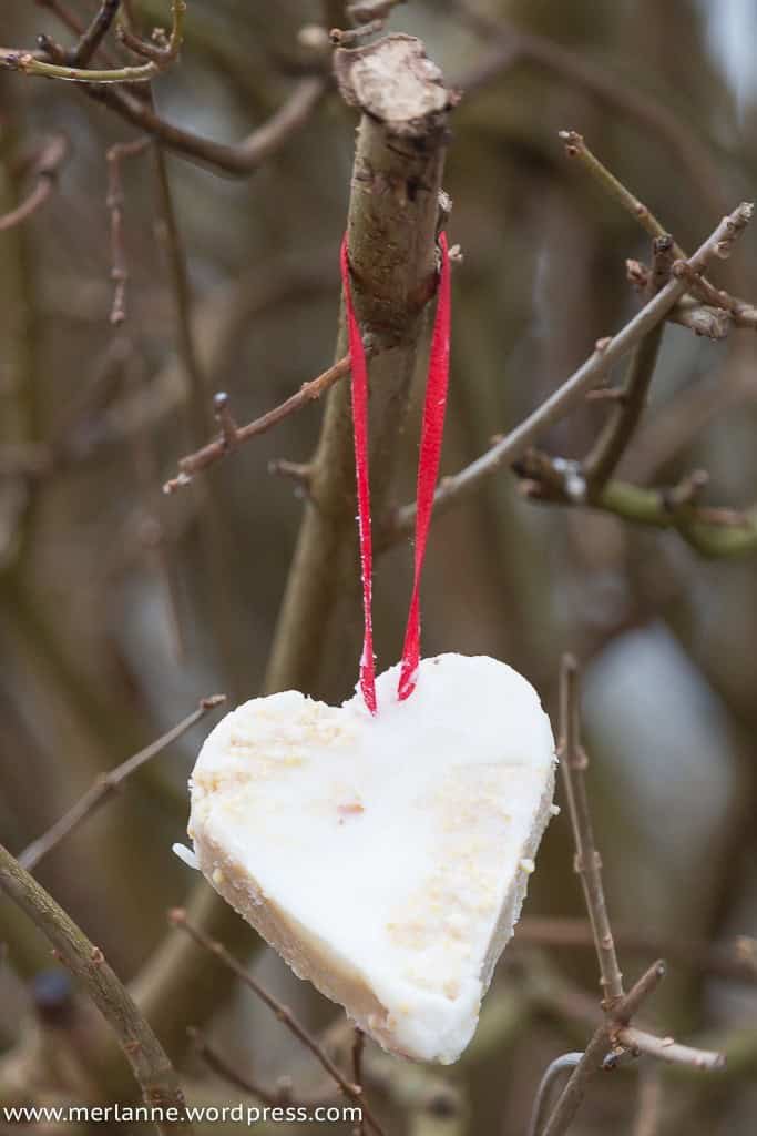 Vogelfutter selber machen