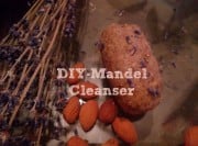 DIY Mandel-Cleanser