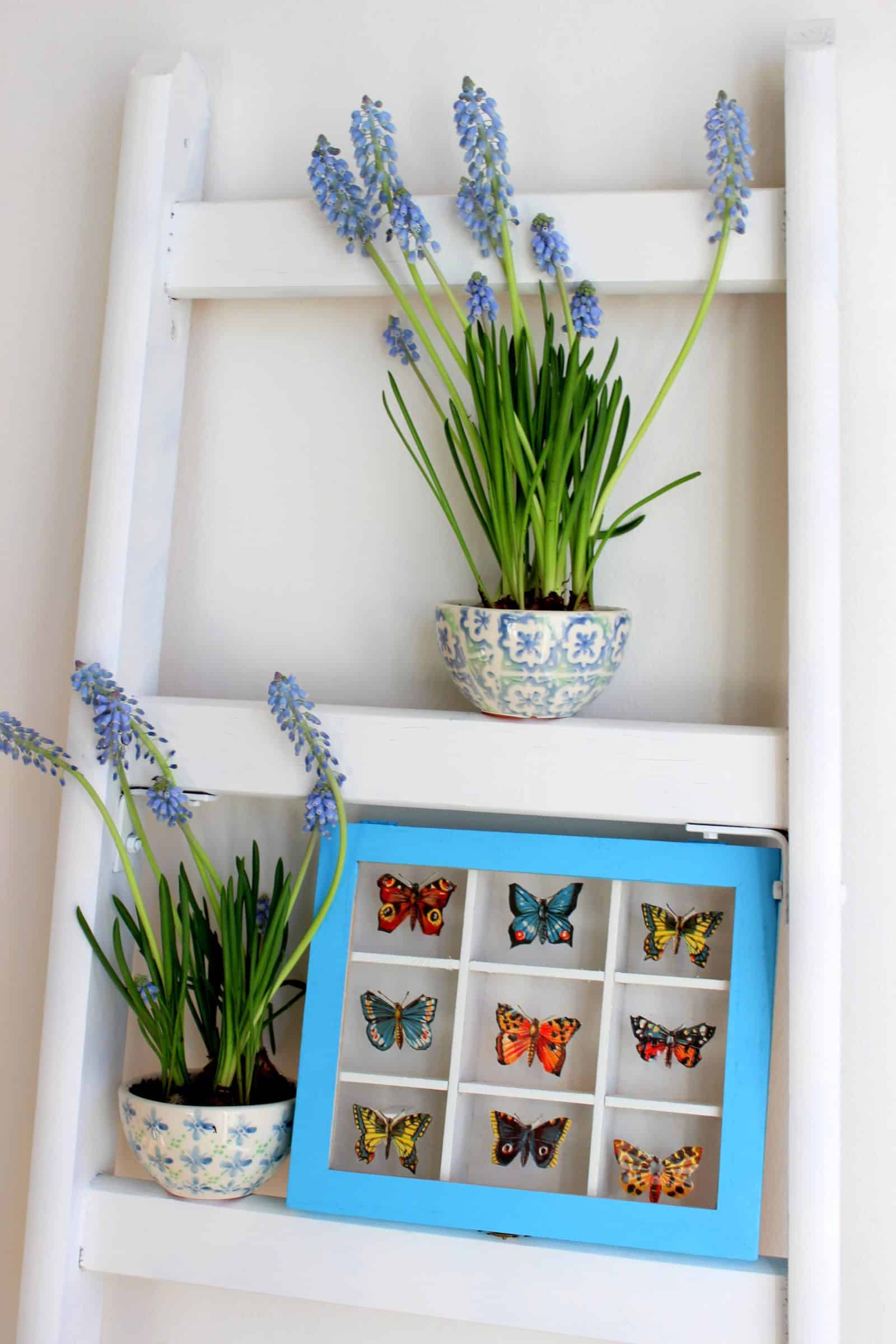 DIY: Schmetterlings-Sammelkasten mit Stammbuchbildchen