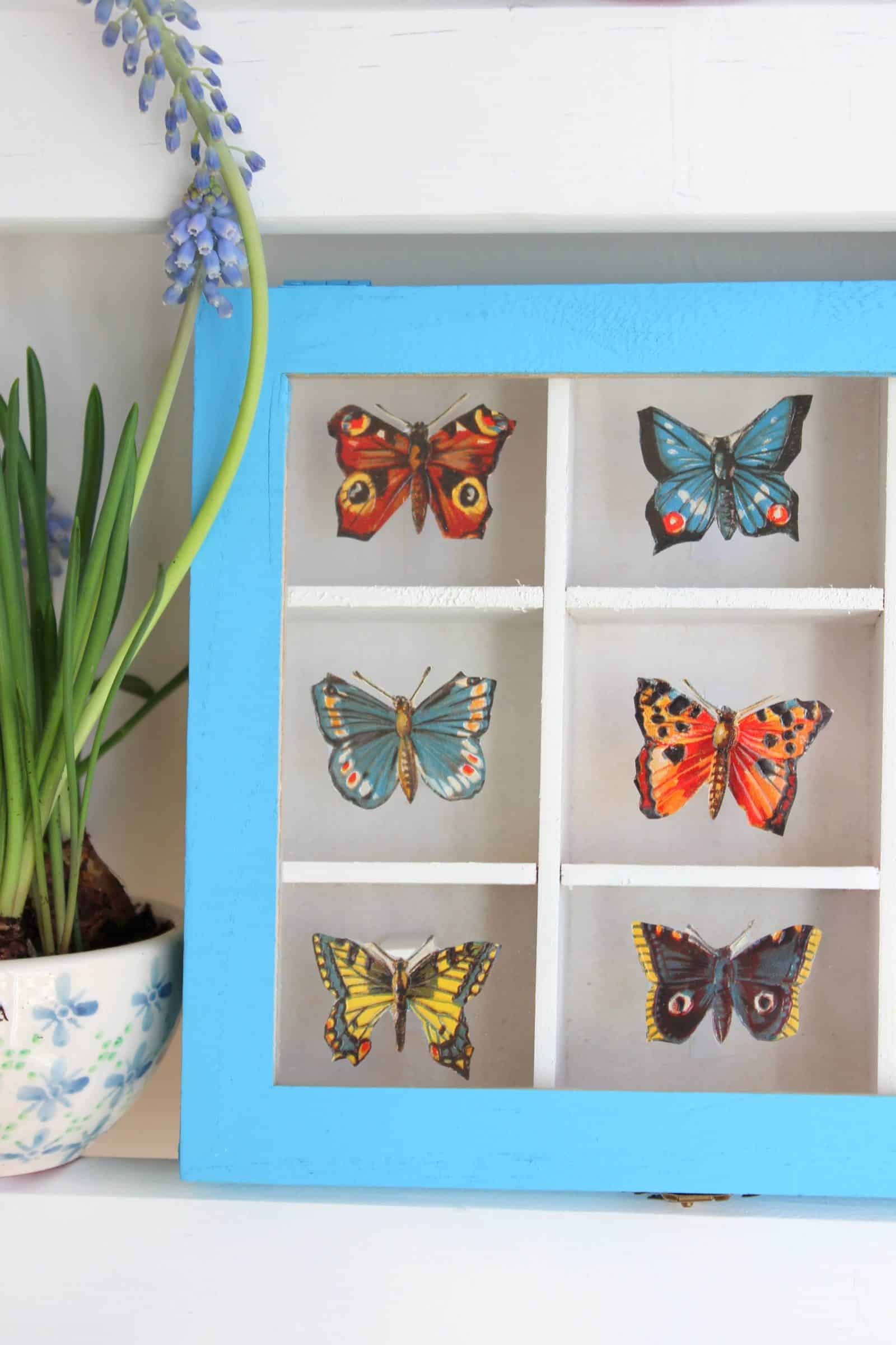 DIY: Schmetterlings-Sammelkasten mit Stammbuchbildchen